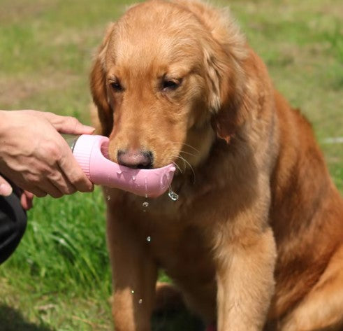 Travel Pet Hydration Bottle