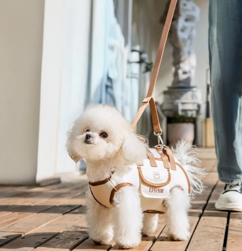 The Pet Buddy Signature Carrier - Luxury Small Dog & Cat Travel Bag